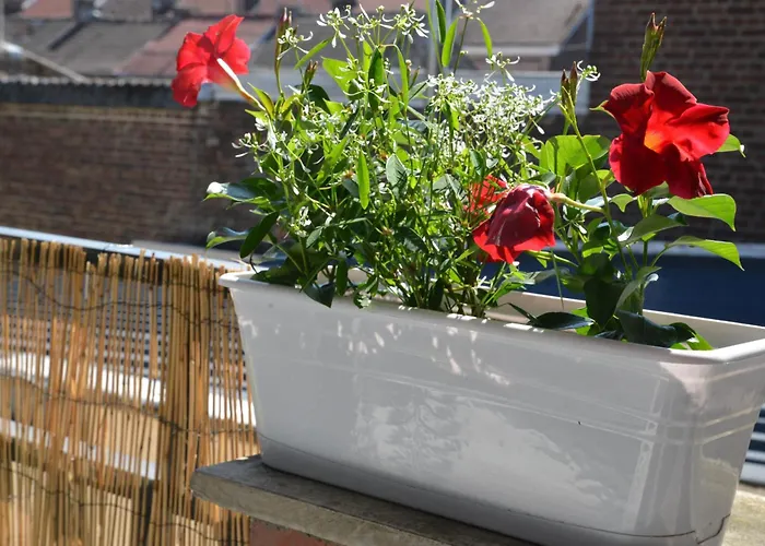 Lägenhet Sweet In *